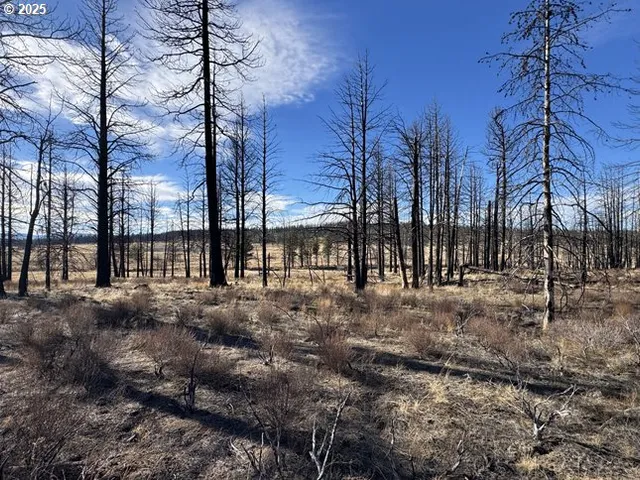 $13,000 | Yellow Pine Road, Unit 13, Bly, OR 97622