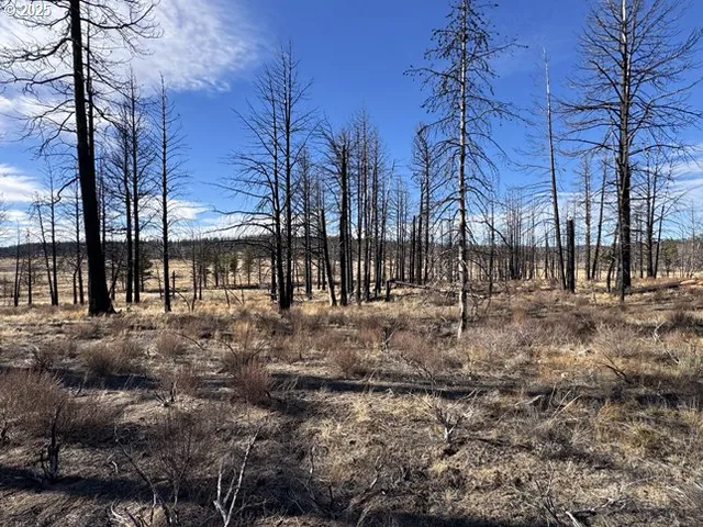 $13,000 | Yellow Pine Road, Unit 13, Bly, OR 97622