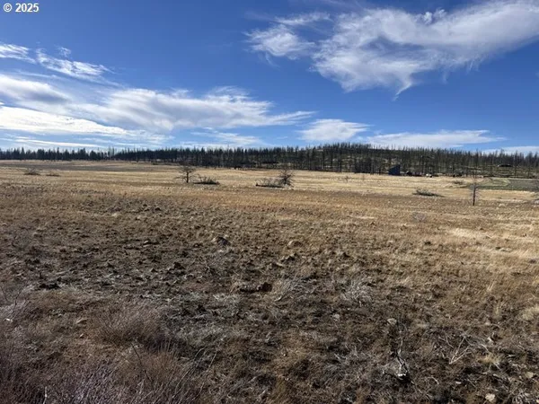 $13,000 | Yellow Pine Road, Unit 13, Bly, OR 97622