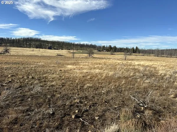 $13,000 | Yellow Pine Road, Unit 13, Bly, OR 97622