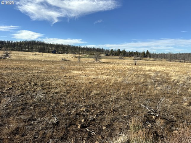 Yellow Pine Road, Unit 13 Bly, OR 97622 - Photo 6 of 39 a view of an ocean