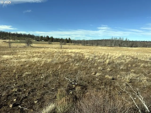 a view of a yard with wooden fence