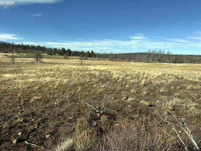 Yellow Pine Road, Unit 13 Bly, OR 97622 - Photo 7 of 39 a view of an ocean