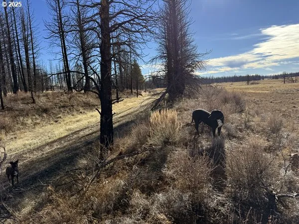 $13,000 | Yellow Pine Road, Unit 13, Bly, OR 97622