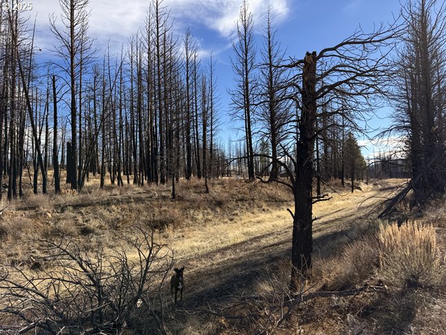 Yellow Pine Road, Unit 13 Bly, OR 97622 - Photo 9 of 39 a view of backyard space with wooden fence
