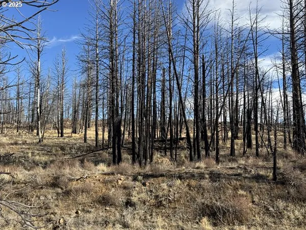 $13,000 | Yellow Pine Road, Unit 13, Bly, OR 97622