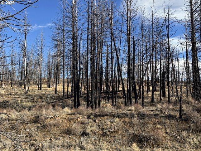 Yellow Pine Road, Unit 13 Bly, OR 97622 - Photo 10 of 39