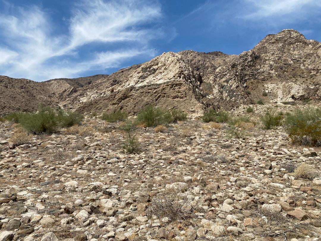 0 Coolidge Springs Road Thermal, CA 92274 - Photo 6 of 62 thumbnail (2)