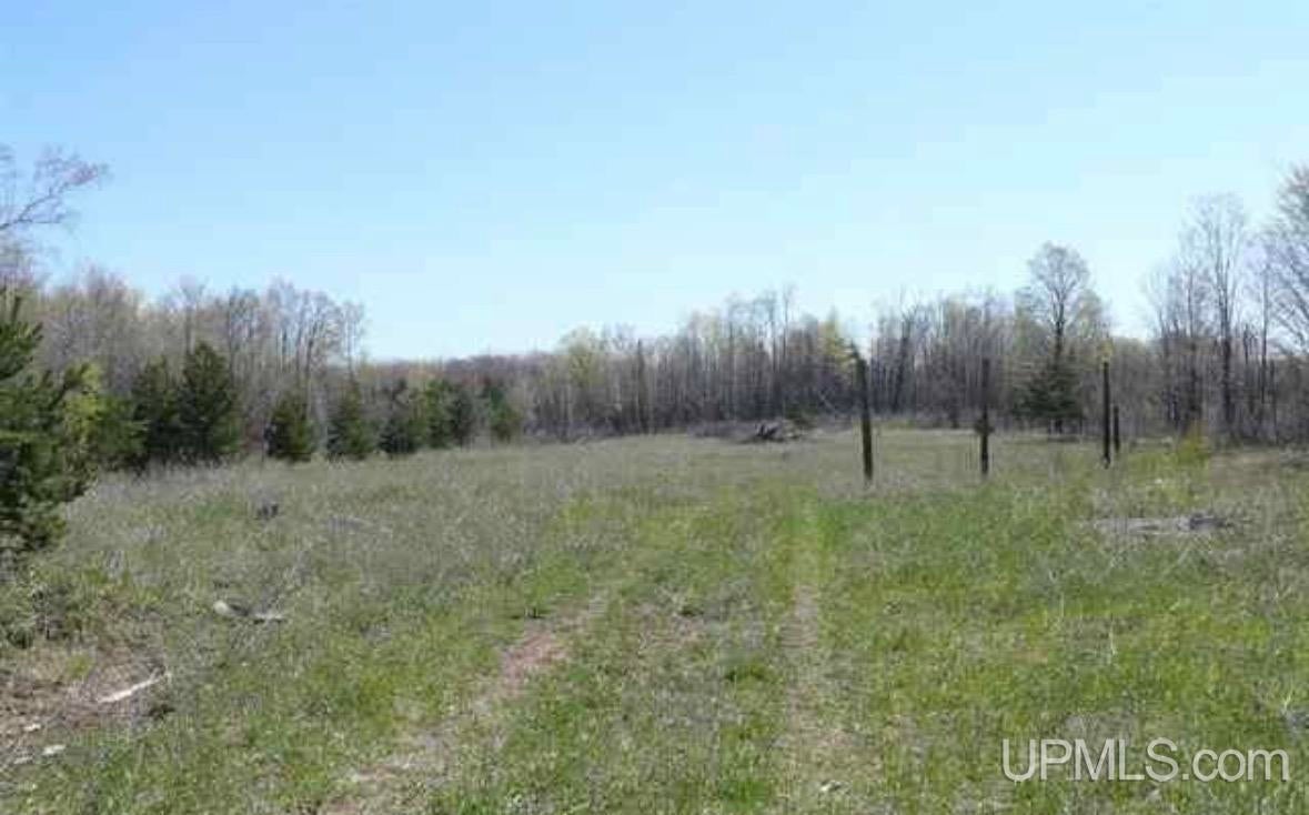 Tbd Tbd Co Road Marquette, MI 49855 - Photo 3 of 5 Gallery Image 3