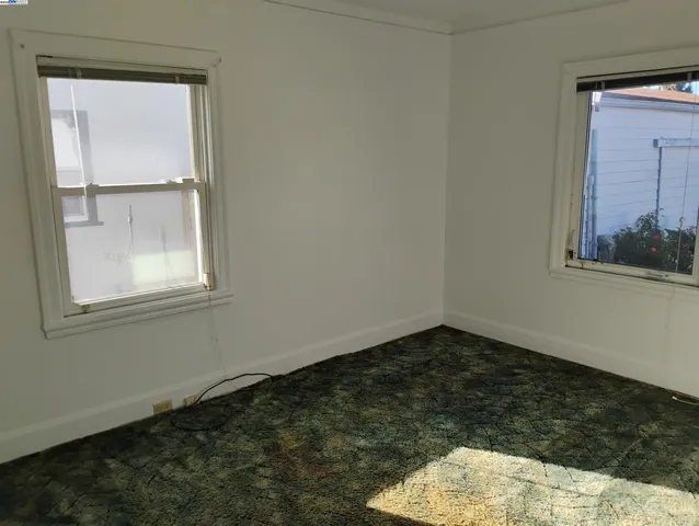 a view of a flower in a garden