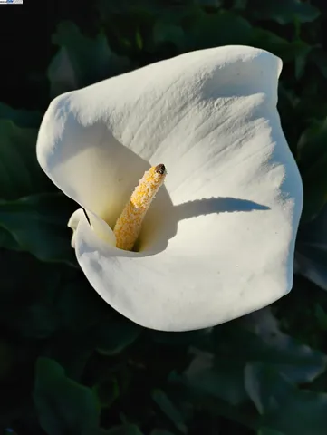 $585,000 | 2621 66th Avenue, Oakland, CA 94605