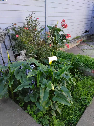 $585,000 | 2621 66th Avenue, Oakland, CA 94605