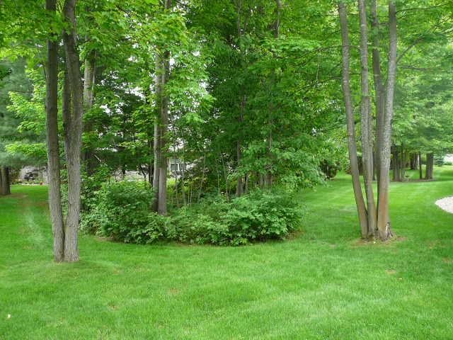 1321 Terra Road Traverse City, MI 49686 - Photo 7 of 22 1785920-6.JPG