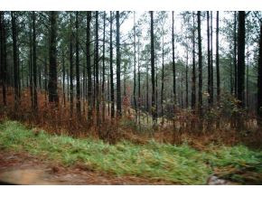 0 Pleasant Hill Road Copperhill, TN 37317 - Photo 16 of 23 Photo 16
