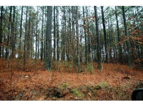 0 Pleasant Hill Road Copperhill, TN 37317 - Photo 9 of 23 Photo 9