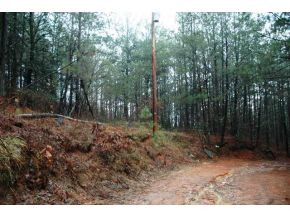 0 Pleasant Hill Road Copperhill, TN 37317 - Photo 10 of 23 Photo 10