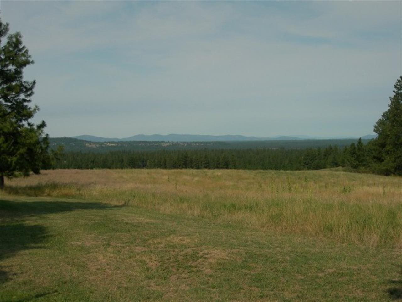 23013 North Orchard Bluff Road Chattaroy, WA 99003 - Photo 12 of 18 Gallery Image 12