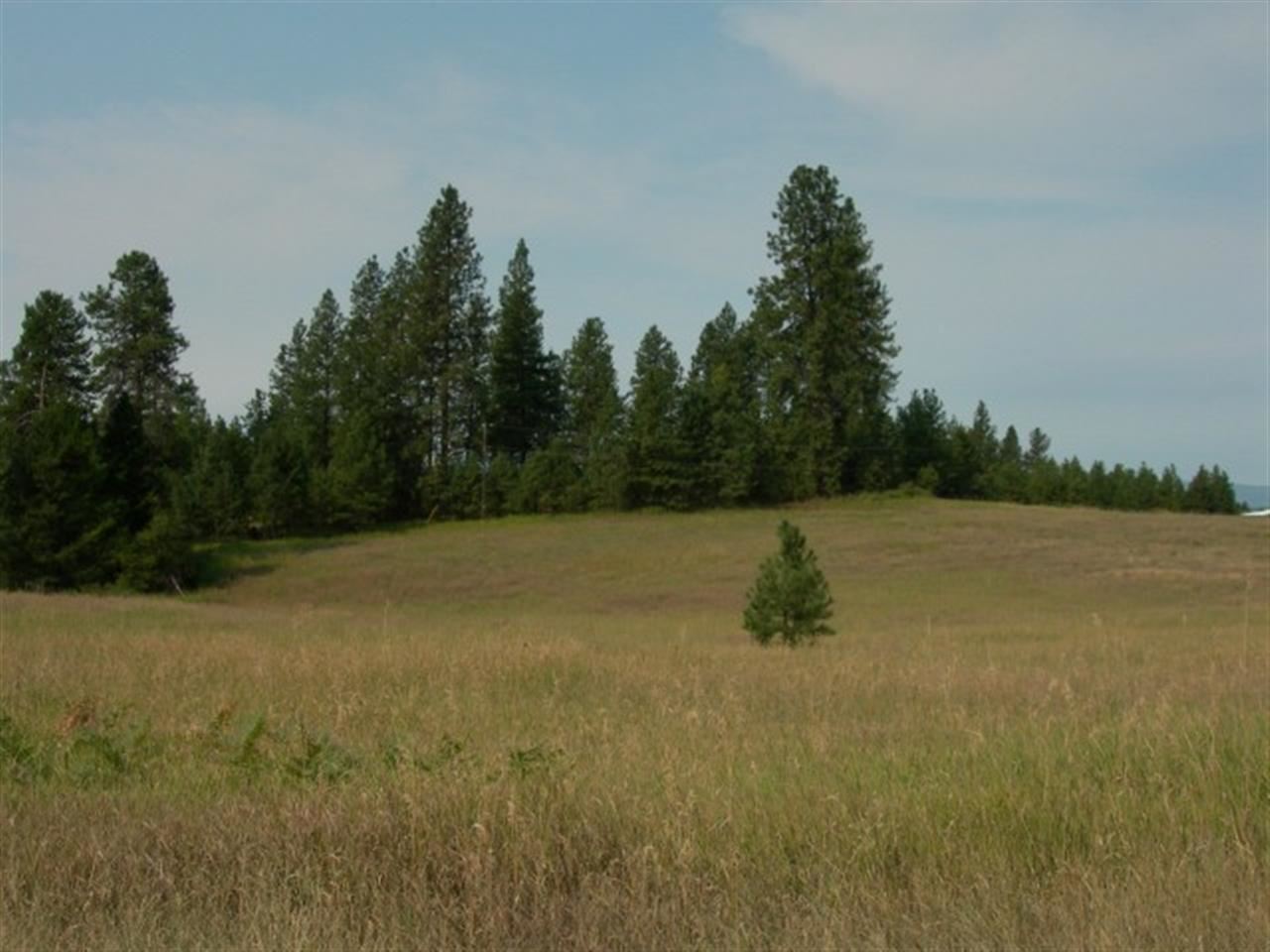 23013 North Orchard Bluff Road Chattaroy, WA 99003 - Photo 6 of 18 Gallery Image 6