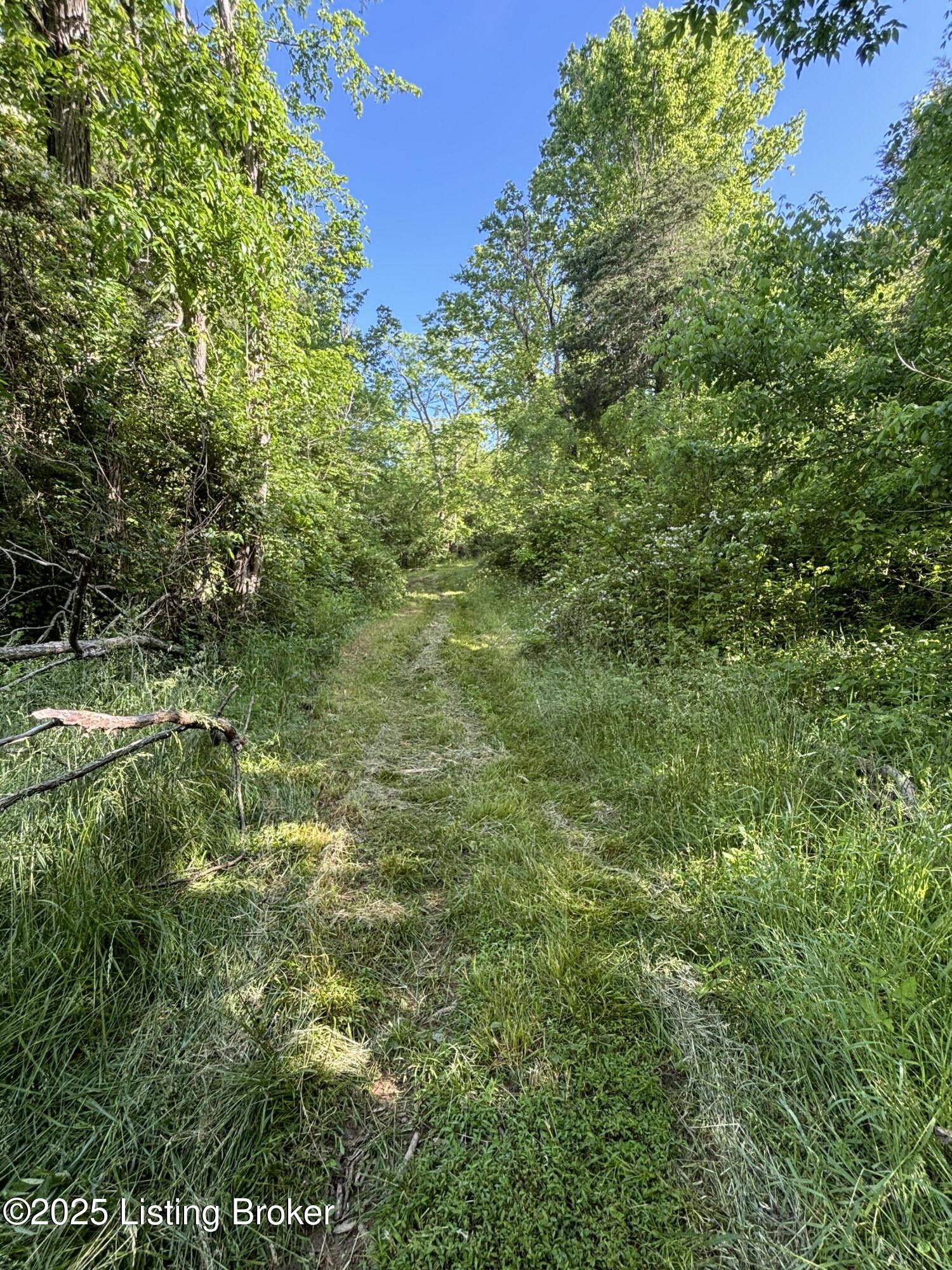 5691 Battle Road Mackville, KY 40040 - Photo 46 of 54 IMG_3903