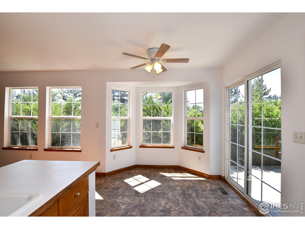 1115 West Swallow Road, Unit 24 Fort Collins, CO 80526 - Photo 19 of 40 Gallery Image 19