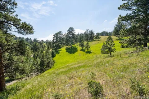 a view of outdoor space and trees