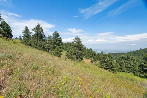 a view of a bunch of trees and bushes