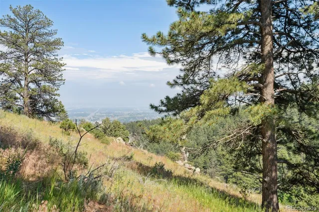 a view of lake with green space