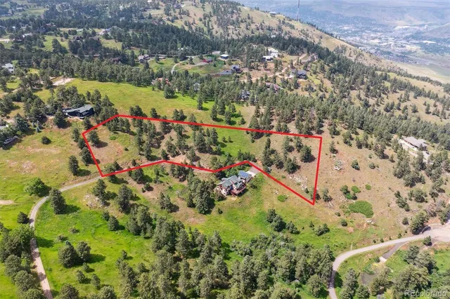 a large body of water with a tree in the background