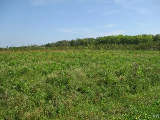 $99,000 | 2 Hitchcock Point Road, Bridgeport, NY 13030