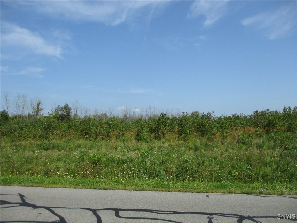 2 Hitchcock Point Road Bridgeport, NY 13030 - Photo 9 of 15