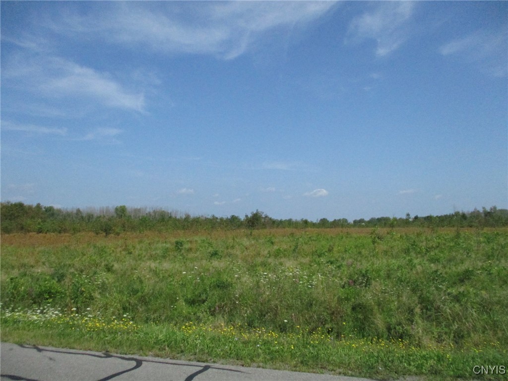 2 Hitchcock Point Road Bridgeport, NY 13030 - Photo 10 of 15