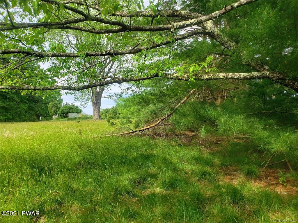Mud Pond Road Highland Lake, NY 12743 - Photo 8 of 13