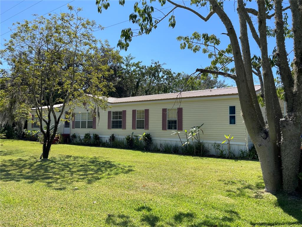 a view of a yard with a house and a large tree