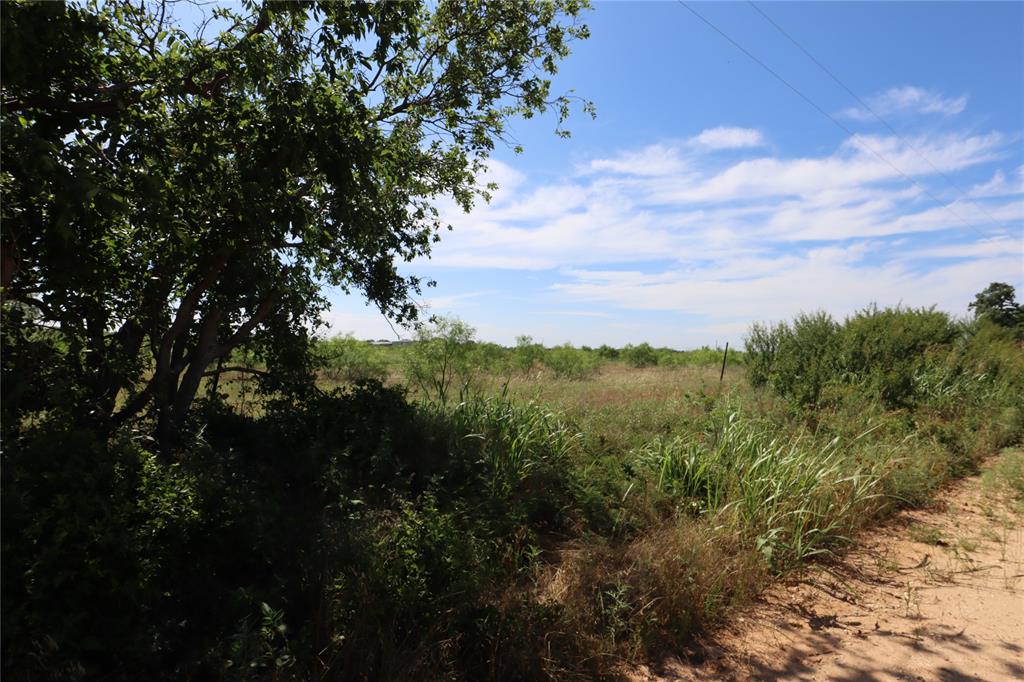 807 County Road 215 Rising Star, TX 76471 - Photo 5 of 9 a view of a city