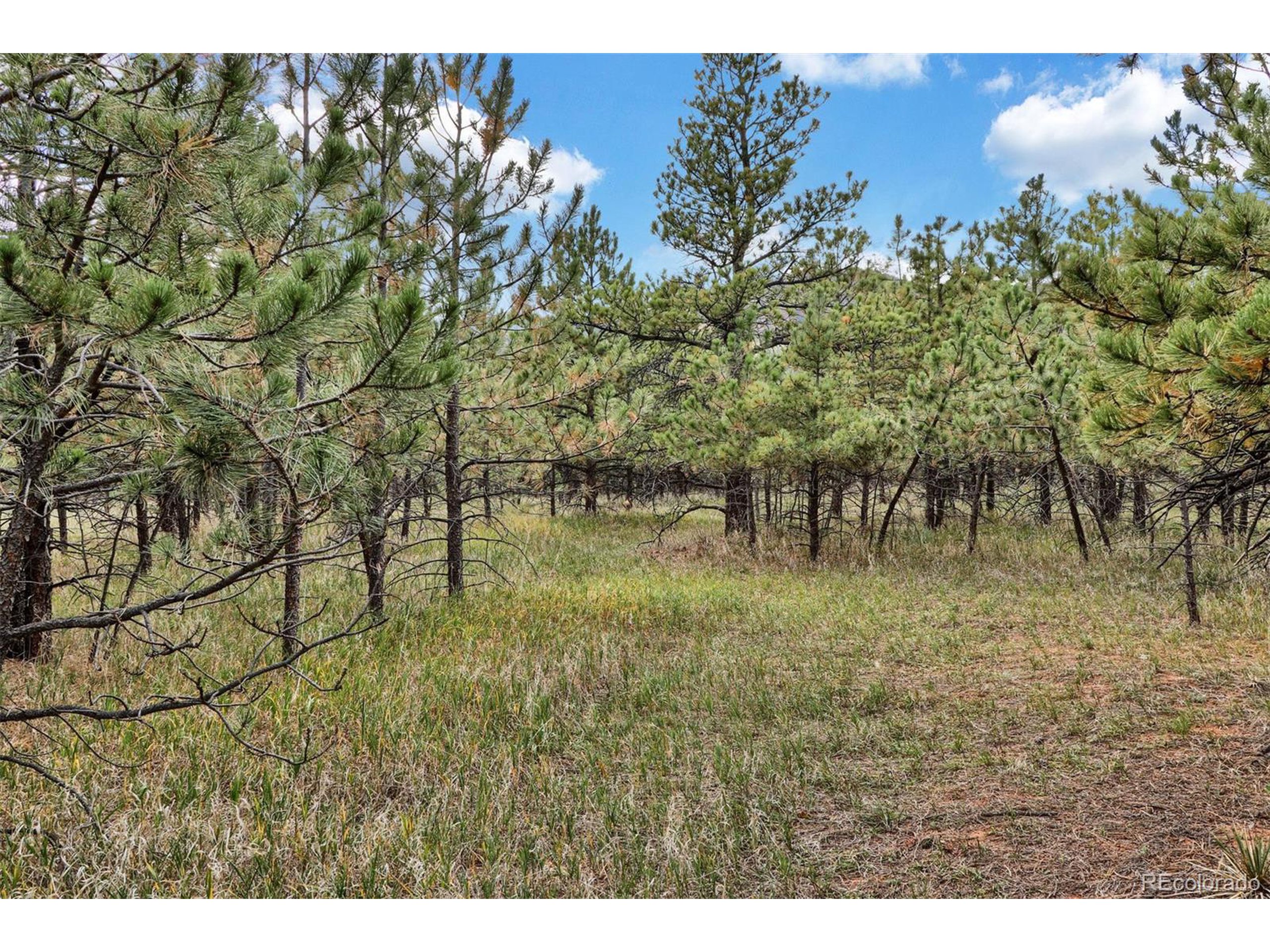 4 Stoneview Road Monument, CO 80132 - Photo 1 of 13 a view of a yard
