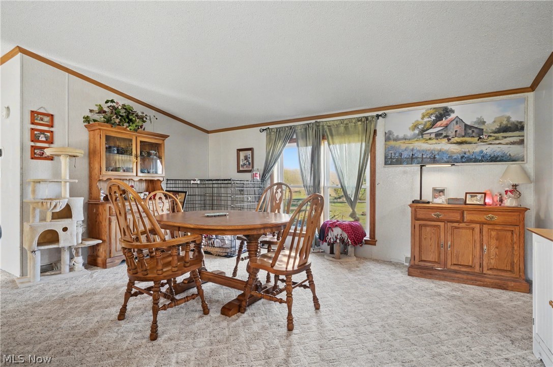 2122 South Pricetown Road Diamond, OH 44412 - Photo 9 of 41 Gallery Image 9
