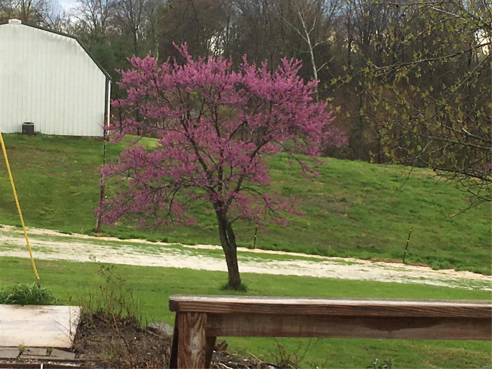 89 Crowell Road Carbondale, IL 62902 - Photo 36 of 39 Gallery Image 36
