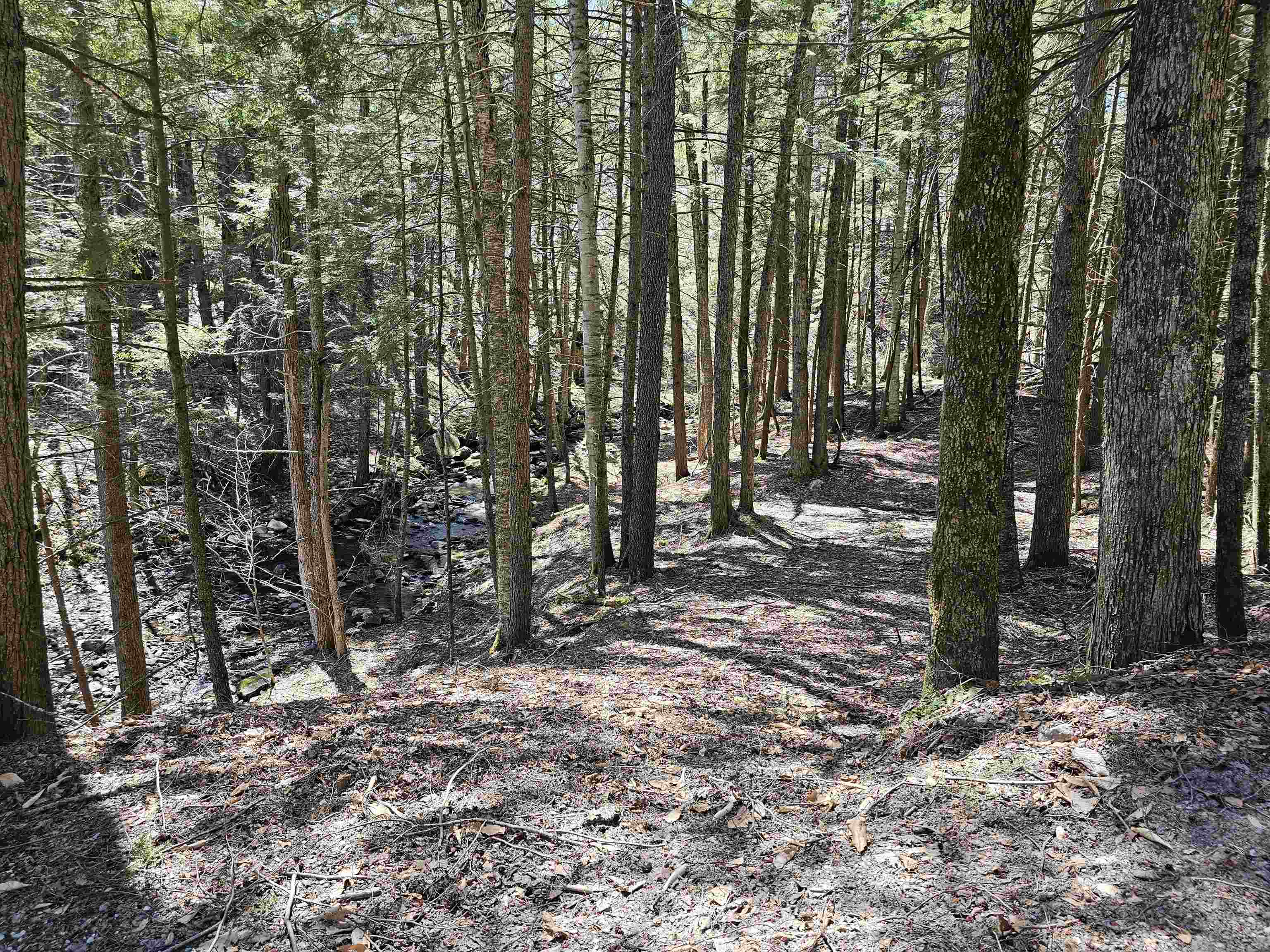 1495 Chester Hill Road Grafton, VT 05146 - Photo 19 of 34 Gallery Image 19