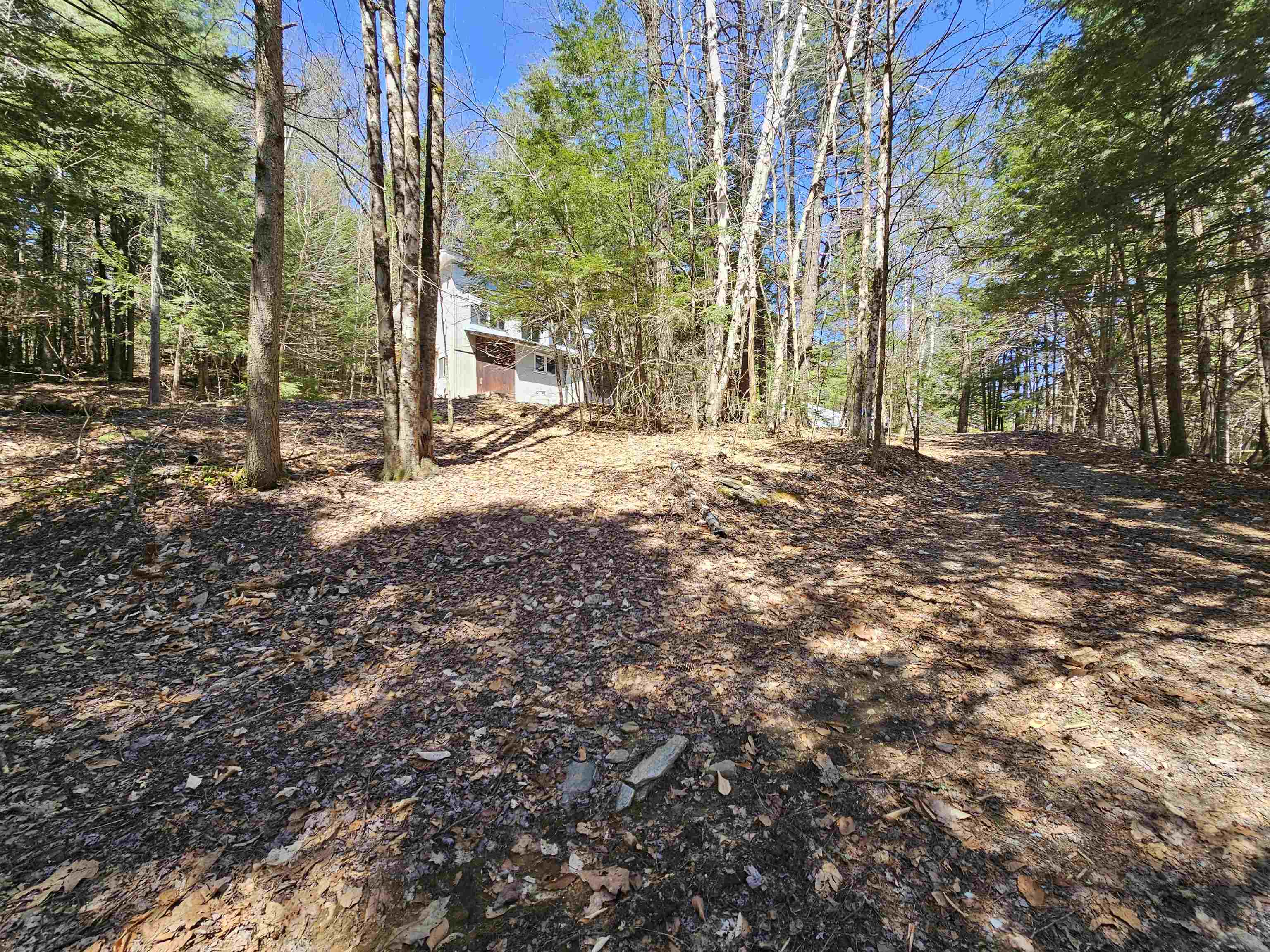 1495 Chester Hill Road Grafton, VT 05146 - Photo 20 of 34 Gallery Image 20