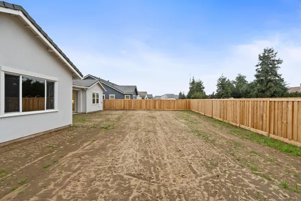 a view of backyard and tree