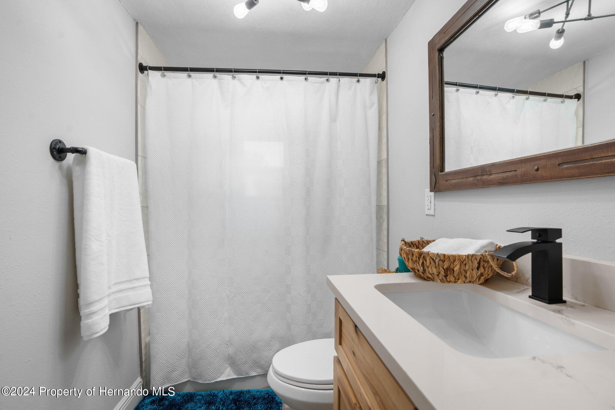 5411 Teal Drive Weeki Wachee, FL 34607 - Photo 17 of 40 a bathroom with a sink toilet and mirror