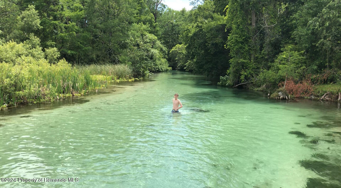 5411 Teal Drive Weeki Wachee, FL 34607 - Photo 37 of 40 a backyard of a house with lots of green space and garden