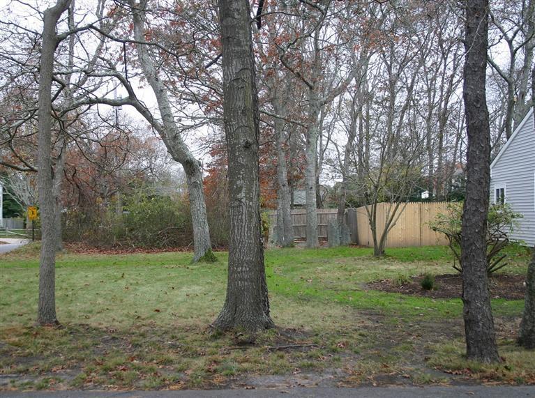 6 Fox Hill Road Centerville, MA 02632 - Photo 18 of 21 a backyard of a house with lots of green space