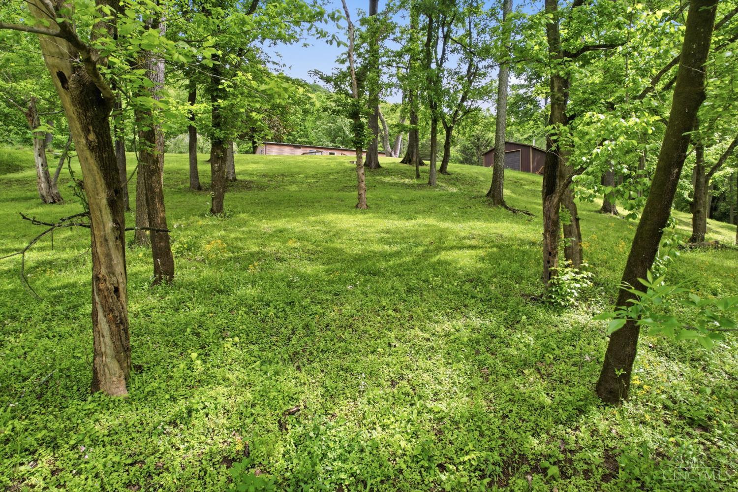 2169 3 Mile Creek Road Ripley, OH 45167 - Photo 33 of 38