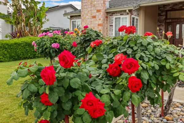 $590,000 | 929 Kapareil Drive, Tracy, CA 95376