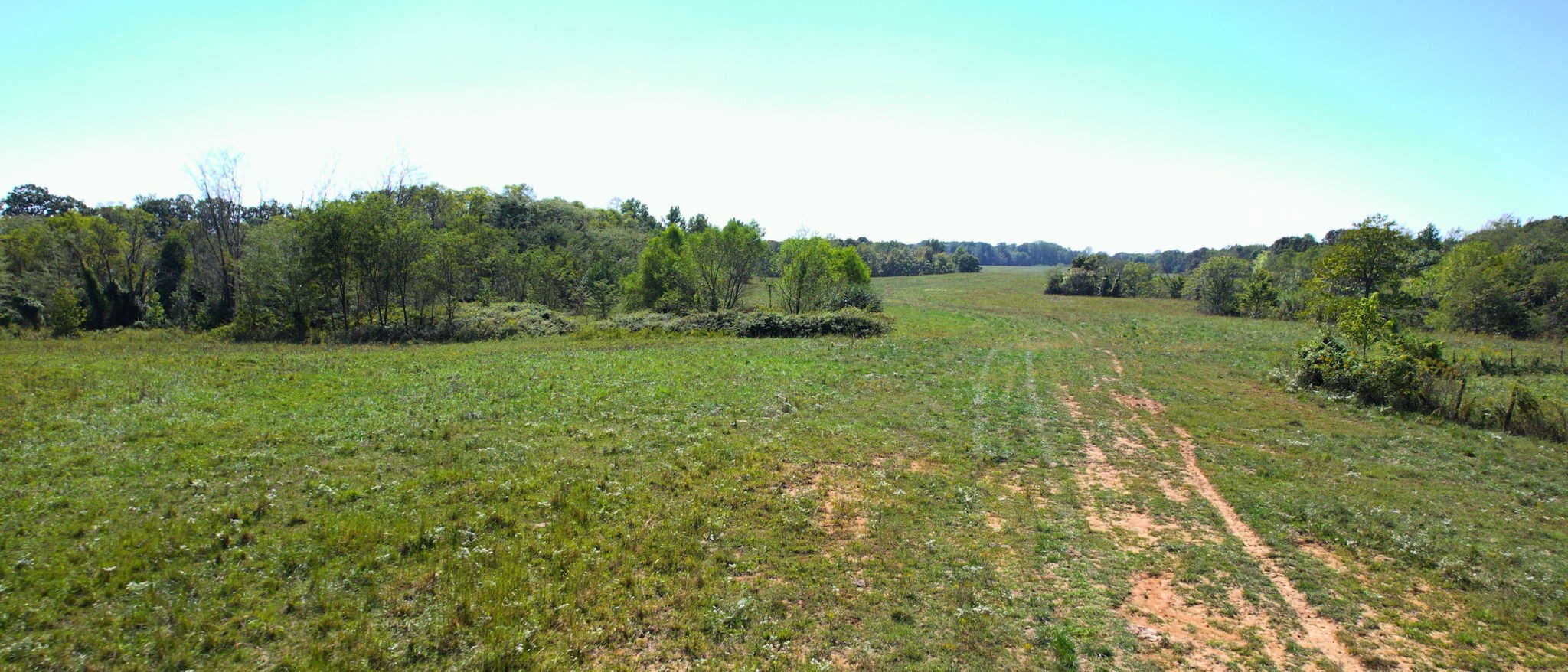 0 Old Murray Paris Road Puryear, TN 38251 - Photo 13 of 18