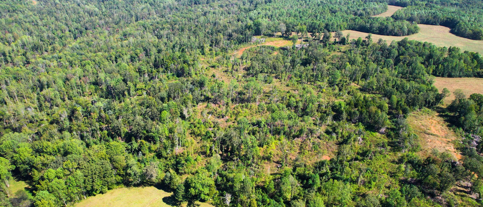 0 Old Murray Paris Road Puryear, TN 38251 - Photo 14 of 18