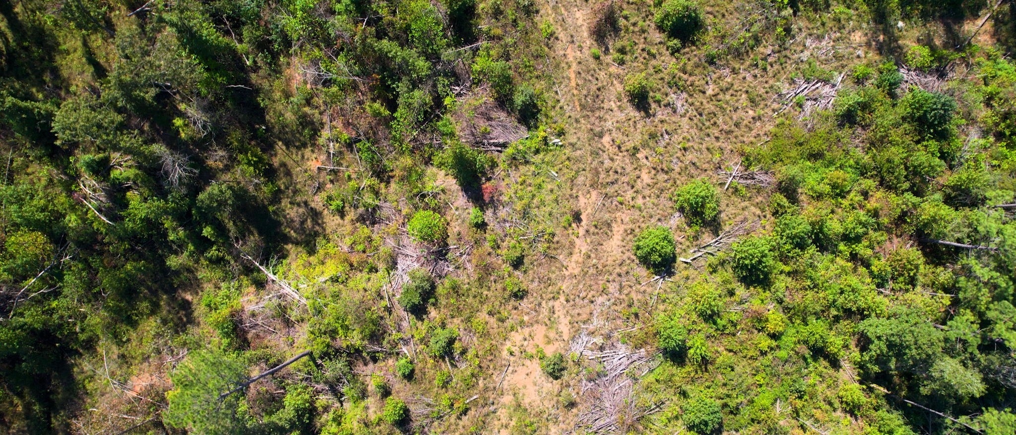 0 Old Murray Paris Road Puryear, TN 38251 - Photo 15 of 18