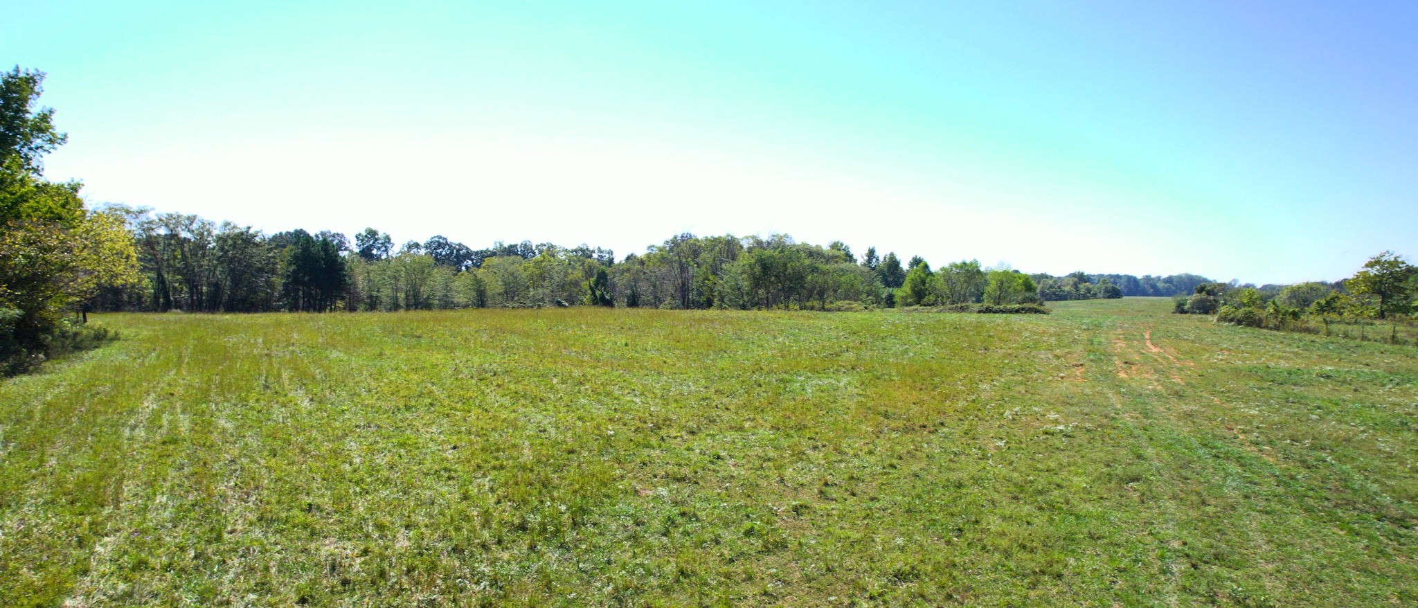 0 Old Murray Paris Road Puryear, TN 38251 - Photo 17 of 18