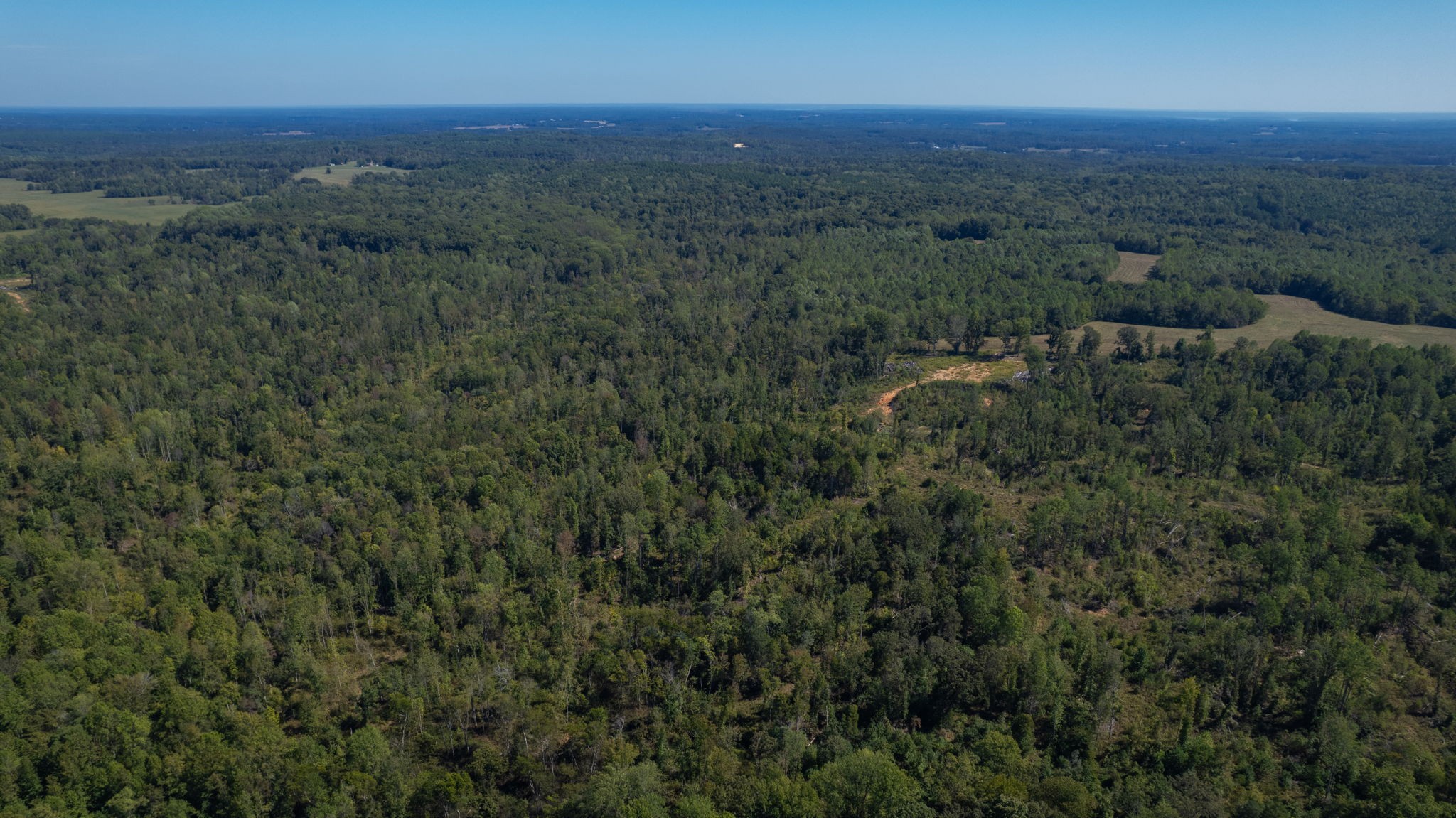 0 Old Murray Paris Road Puryear, TN 38251 - Photo 2 of 18